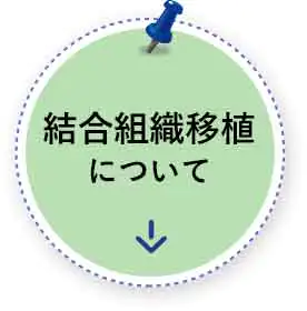 結合組織移植について