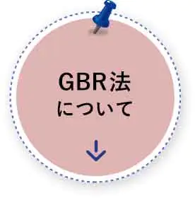 GBR法