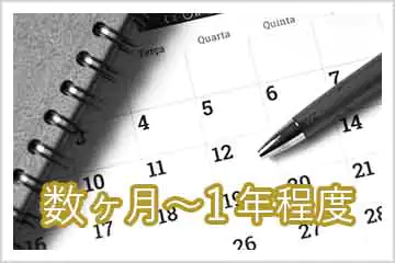 数ヶ月〜1年程度